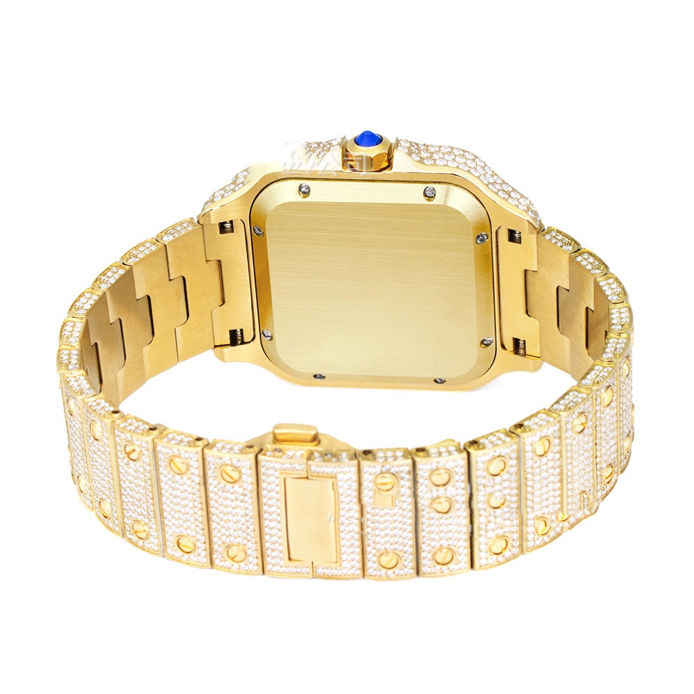 Montre Clarity Moissanite en acier inoxydable pour homme